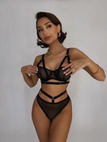 Mesh Sexy Suit Multi-color Multi-size (Option: Black-M)